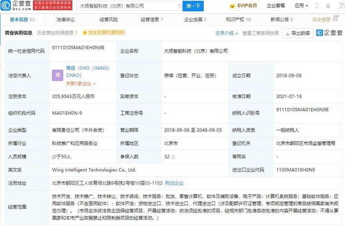 字節(jié)跳動(dòng)投資布局新動(dòng)態(tài) 入股大揚(yáng)智能科技，深化軟件開(kāi)發(fā)版圖